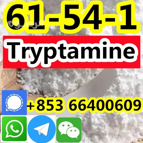 cas-61-54-1-tryptamine-factory-supply-in-china-high-quality-safe-delivery-stable-repurchase-by-customers-big-1