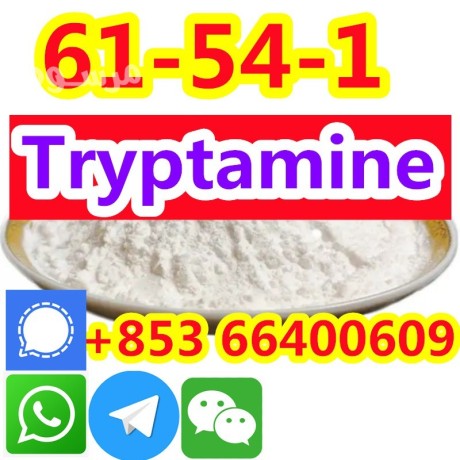 cas-61-54-1-tryptamine-factory-supply-in-china-high-quality-safe-delivery-stable-repurchase-by-customers-big-0