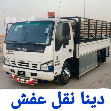 dyna-nkl-aafsh-hy-altyn-0535124099-big-0
