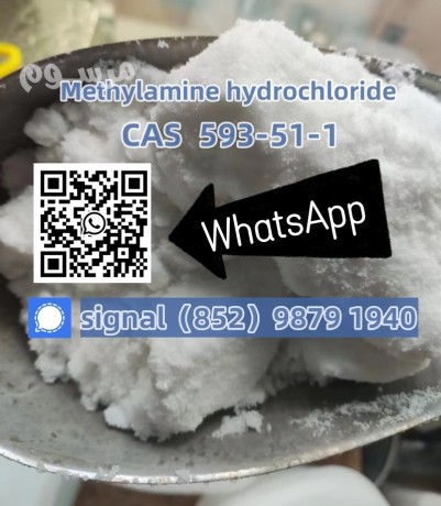 whatsapp8529879-1940-cas-593-51-1-methylamine-hcl-high-quality-best-sell-factory-supply-big-1