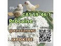 cas-59-46-1-procaine-best-quality-factory-supply-wholesale-price-signalalicezhang-small-1