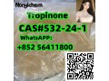 cas-532-24-1-tropinone-small-0