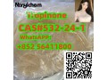 cas-532-24-1-tropinone-small-1