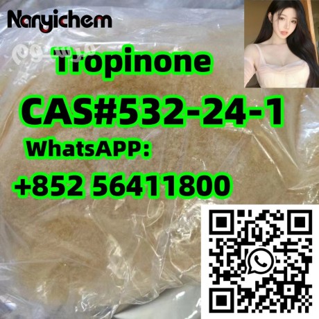 cas-532-24-1-tropinone-big-0