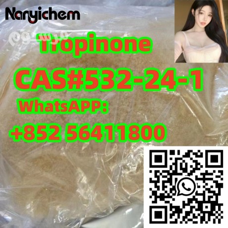 cas-532-24-1-tropinone-big-1