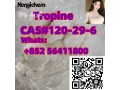 cas-120-29-6-tropine-small-1