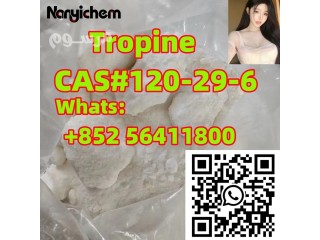 CAS 120-29-6 Tropine