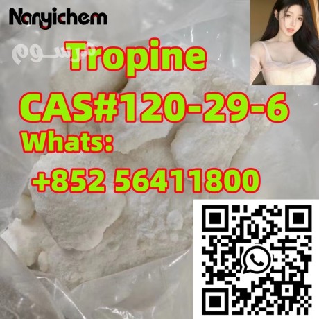 cas-120-29-6-tropine-big-0