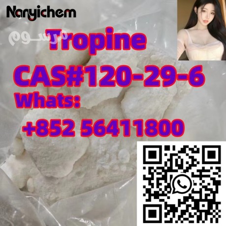 cas-120-29-6-tropine-big-1