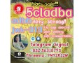 5cladba-5cl-yellow-powder-5cladba-from-best-supplier-small-0