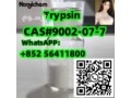 cas-9002-07-7-trypsin-small-1