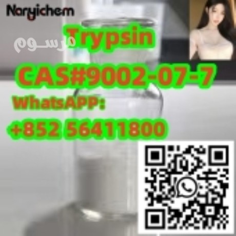 cas-9002-07-7-trypsin-big-0