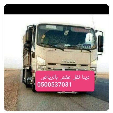 altkhls-mn-alathath-alkdym-hy-alazdhar-alryad-0500537031-dyna-tsh-big-0