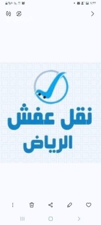 raaay-shraaa-athath-mstaaml-hy-algnadry-0531839106-big-0