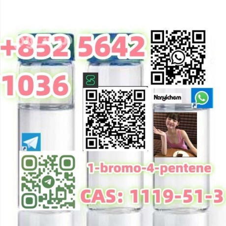 cas-1119-51-3-name-1-bromo-4-pentene-big-0