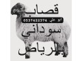 ksab-balryad-0537422374-hy-alaaard-small-0