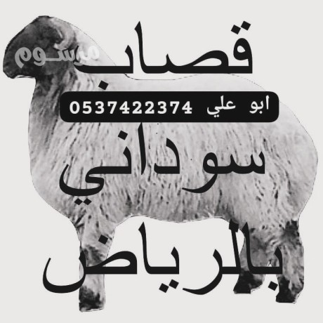 ksab-balryad-0537422374-hy-alaaard-big-0