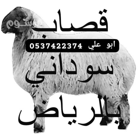 zbh-balryad-0537422374-hy-htyn-big-0