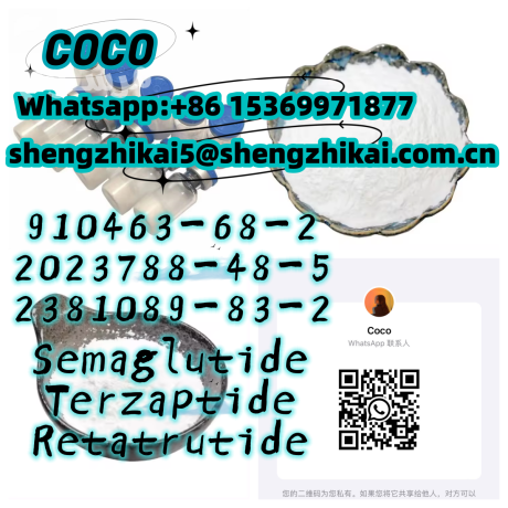 manufacturer-99-purity-semaglutide-raw-powder-cas-910463-68-2-glp-1-big-1