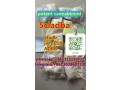 strongest-effect-5cl-presursor-adbb-in-stock-safe-delivery-telegram8613111597229-small-0