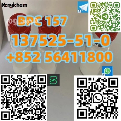 cas-137525510-big-0