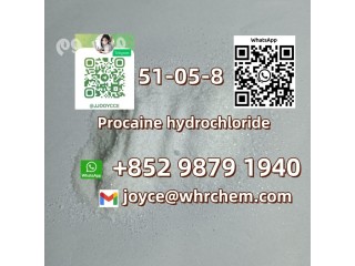 Whatsapp:85298791940 Sell high quality Procaine hydrochloride cas 51-05-8