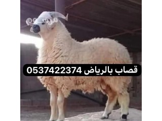 قصاب بالرياض متخصص في عيد الاضحى المبارك 0537422374 حجز قصاب بالرياض