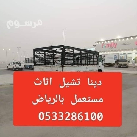 dyna-nkl-aafsh-hy-alnkhyl-0507973276-dyna-tsh-athath-kdym-hy-alnkhyl-balryad-big-1