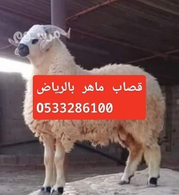 ksab-gzar-ksabyn-balryad-0507973276-big-1