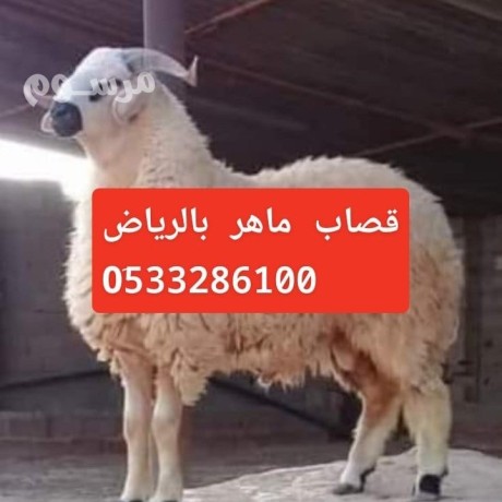 ksab-mahr-hy-almsyf-0533286100-ksab-mahr-hy-alorod-big-0