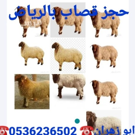 ksab-balryad-0536236502zbah-big-0