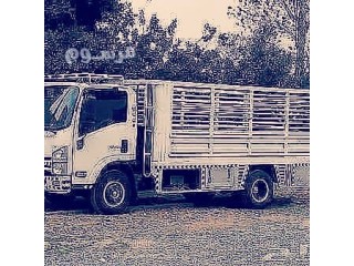 دينا نقل عفش داخل الرياض 0556017058