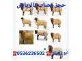 ksabyn-balryad-0536236502-ksab-balryad-small-1