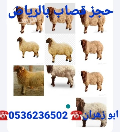 ksabyn-balryad-0536236502-ksab-balryad-big-1