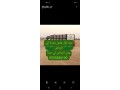 dyna-nkl-aafsh-shmal-alryad-0533286100-arkam-dynat-nkl-aafsh-balryad-small-1