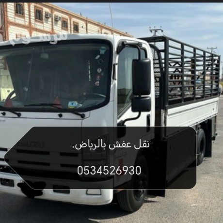 dyna-nkl-aafsh-balryad-0534526930-arkam-big-0