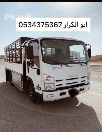 dyna-tsh-alathath-balryad-0534375367-big-0