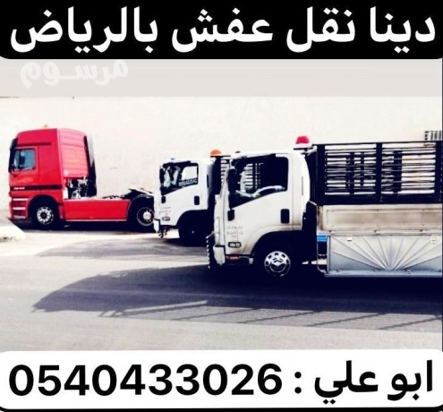 dyna-nkl-aafsh-mn-alryad-aly-mkh-0540433026-dyna-nkl-aafsh-mn-alryad-aly-khmys-big-0