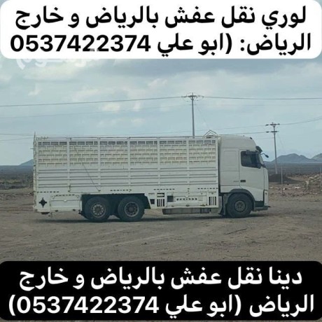 lory-nkl-aafsh-kharg-alryad-0537422374-big-0