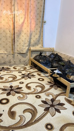 altkhls-mn-alaafsh-alkdymh-balryad-0507973276-altkhls-mn-alathath-altalf-balryad-big-1