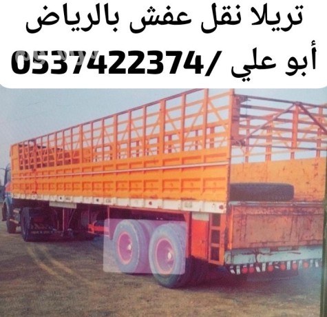 tryla-nkl-aafsh-mn-alryad-aly-gd-0537422374-big-0