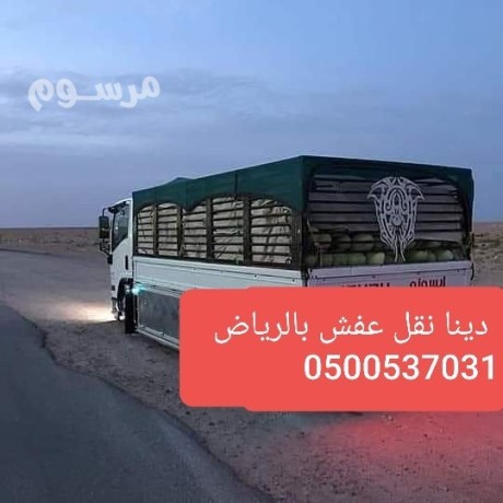 dyna-tsh-alathath-alkdym-oalmkhlfat-oalmbaathrat-0500537031-onyt-hod-big-0