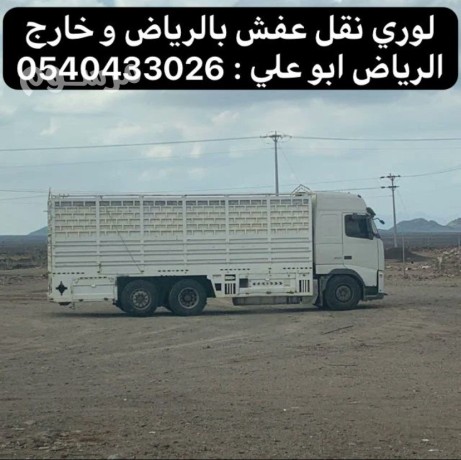 lory-nkl-aafsh-mn-alryad-aly-mk-hd-altayf-0540433026-big-0