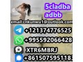 strongest-5cladba-raw-material-5cl-adb-a-precursor-raw-small-1