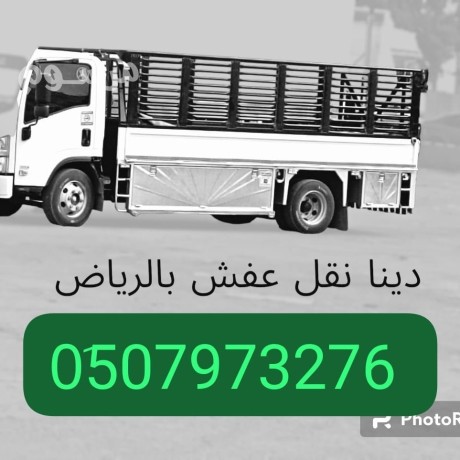 altkhls-mn-alathath-alkdym-balryad-balryad-balryad-0533286100-big-0