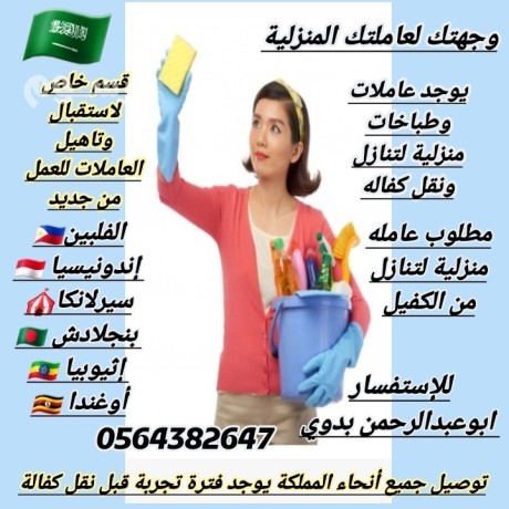 tnazl-aaamlat-mnzlyh-big-0