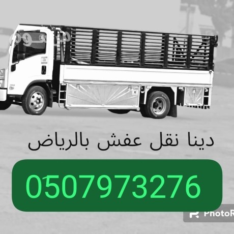dyna-tsh-mkhlfat-alathath-alkdym-balryad-0507973276-big-0