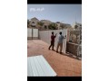 hdad-hy-alshaty-small-0