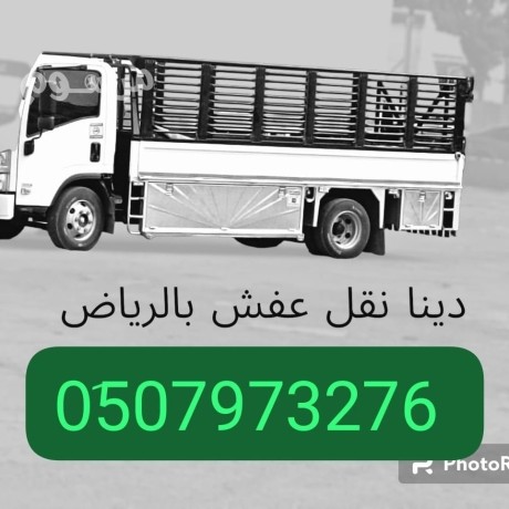 dyna-tsh-alathath-alkdym-balryad-0533286100-hy-alaalya-shmal-alryad-big-0
