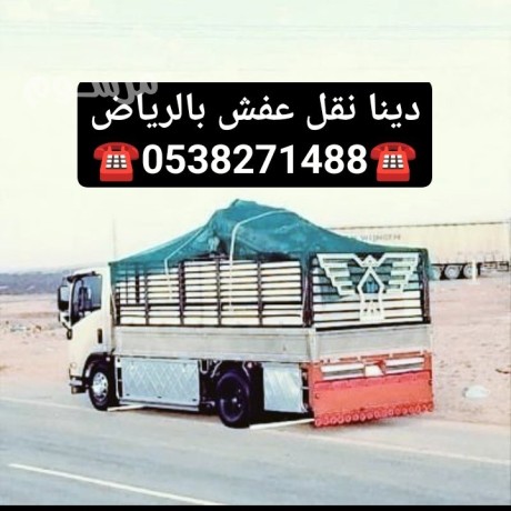 dyna-nkl-aafsh-balryad-0538271488-big-0